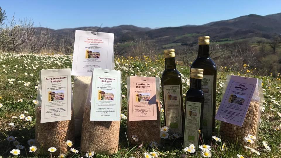 Agriturismo Il Castello Ασίζη Εξωτερικό φωτογραφία