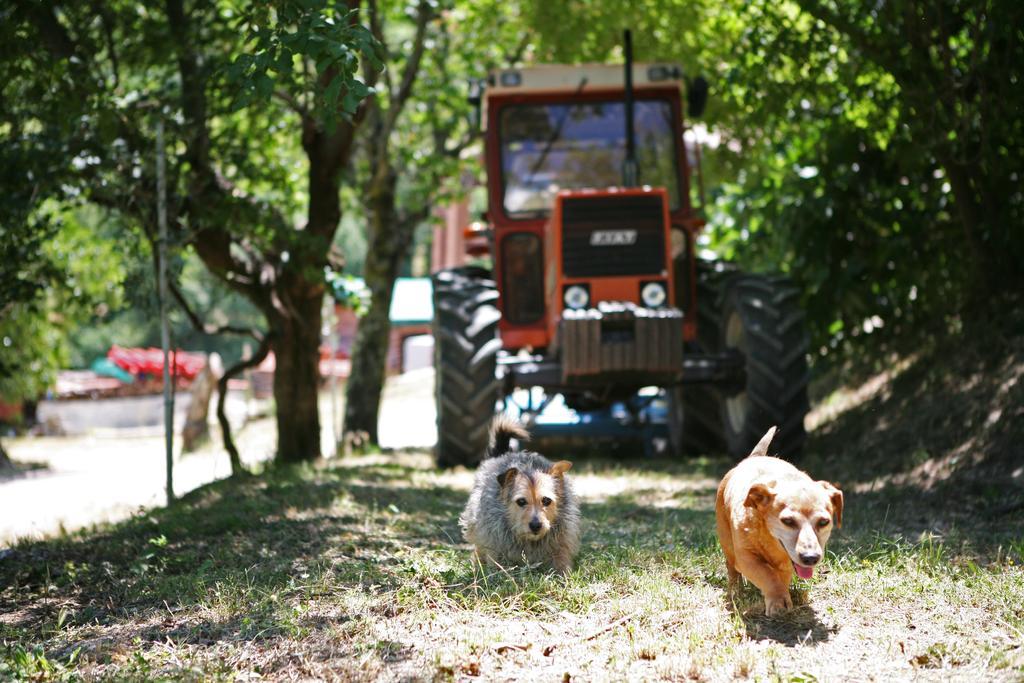 Agriturismo Il Castello Ασίζη Εξωτερικό φωτογραφία