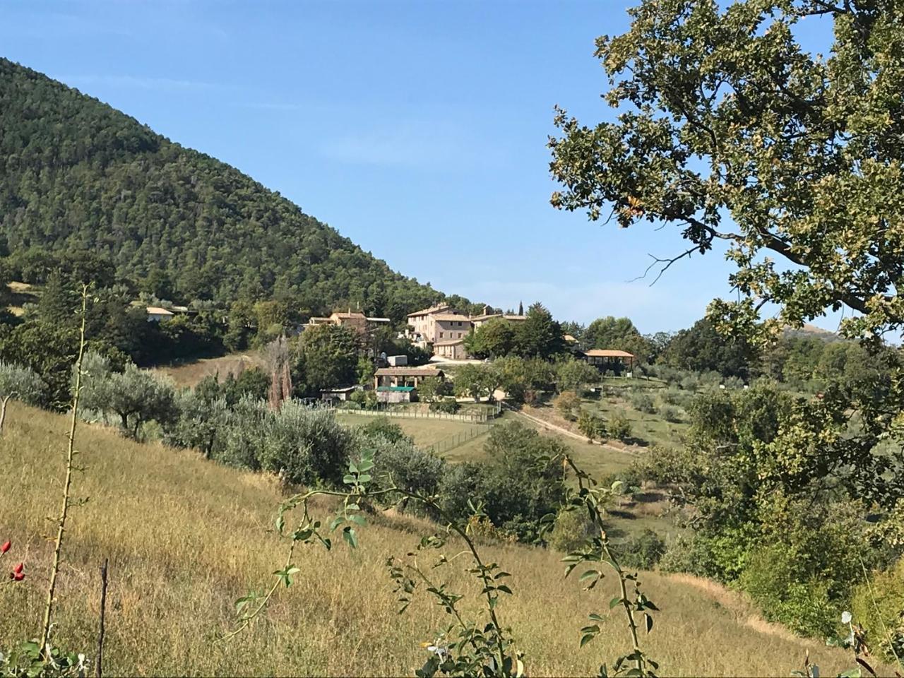Agriturismo Il Castello Ασίζη Εξωτερικό φωτογραφία